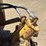 1957-caterpillar-955h-image-22