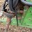 john-deere-3950-image-12