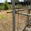 atv-mounted-safety-calf-catch-image-11