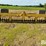aeroway-15'-pasture-aerator-image-2