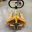 manual-pallet-jack-image-6