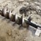 blc-inventory-reduction---equipment-auction-image-6