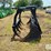 102"-bucket-w/maxi-grapple-image-8