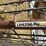 calf/sheep/goat-pen-image-13