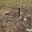 speeco-cat-ii-quick-hitch-image-8