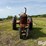 1950-farmall-m-2wd-tractor-image-2