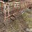 calf-feeding-stalls-image-14
