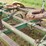 john-deere-15-image-14