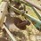 john-deere-2-image-18