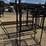 goat-milking-chute-image-2
