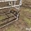 livestock-fitting-chute-image-16