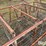 calf-feeding-stalls-image-12