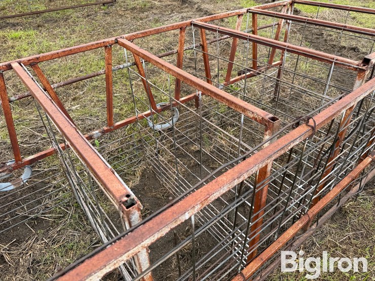 calf-feeding-stalls-image-12