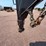 2016-dct-830gs38-gooseneck-trailer-image-16