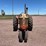 1958-case-801-b-tractor-image-2