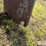 loader-bucket-adapter-image-13