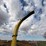 john-deere-3950-image-20