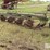 john-deere-2-image-6