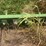 double-hay-spear-for-loader-image-5