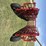 2020-diamond-w-portable-folding-corral-image-6