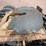 2006-kenworth-t800-image-35