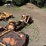 woods-4328-3pt-ditch-bank-mower-image-3