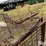 calf/sheep/goat-pen-image-9