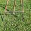 lawn-sprinkler-image-6