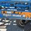 dmi-tiger-image-20
