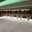 balzer-1500-image-19