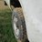 2006-ford-f250-image-5