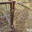 small-livestock-pens-image-11