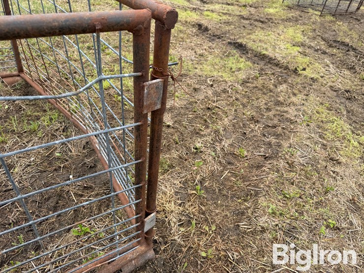 small-livestock-pens-image-11