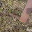 loader-bucket-adapter-image-11