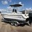 1999-20ft-seagull-nautico-cat-boat-w/-2001-magic-tilt-24ft-t/a-boat-trailer-image-4