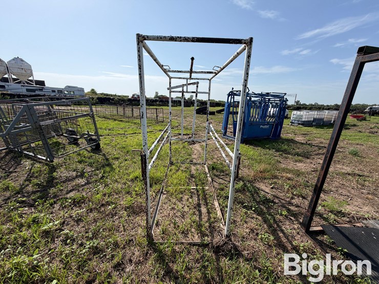 livestock-fitting-chute-image-6