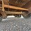 2016-dct-830gs38-gooseneck-trailer-image-10