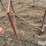 small-livestock-pens-image-10