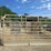 portable-livestock-auction-ring-7125-image-2