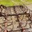 12'-spring-tooth-harrow-image-19