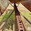 kneib-70-pop-up-bale-loader-image-16