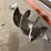 14in-auger-bit-image-2