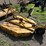 countyline-5'-brush-cutter-image-3