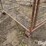 small-livestock-pens-image-16
