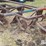 ford-4x14"-mounted-plow-image-13