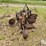ford-4x14"-mounted-plow-image-6