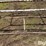 livestock-fitting-chute-image-15