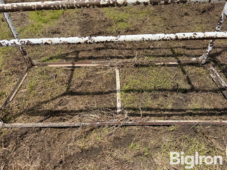 livestock-fitting-chute-image-15