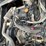 2019-john-deere-gator-image-13