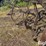 horse-drawn-cultivator-image-12